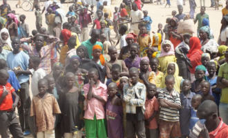 59 million African children stunted, says WHO