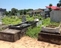 Inside Nigerian cemeteries: Snake forest, ‘mad chairman’ and the dead killing the living