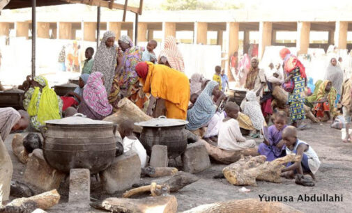 1,000 female IDPs employed as ‘street vanguards’ in Borno