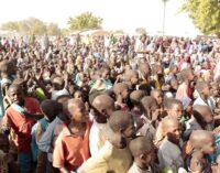 Borno says 450 IDPs have died of diseases, malnutrition