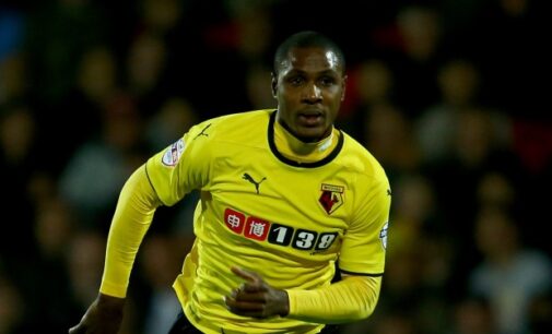 Ighalo nets 14th goal, but Watford lose to Tottenham