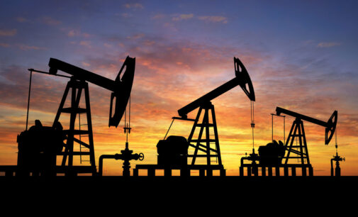 DPR: 600 companies applied to bid for 57 marginal oil fields