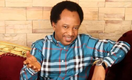 ‘Your afro hair could benefit from it’ — Sowore hits Shehu Sani for kicking against legalisation of marijuana