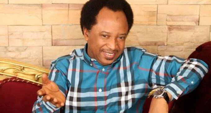 Shehu Sani: I’ve been suspended about 20 times — yet I remain a member of APC