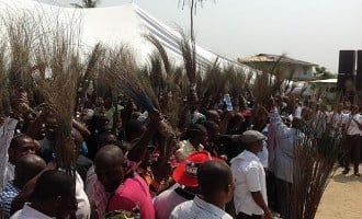 Peterside to lead APC campaign in Rivers