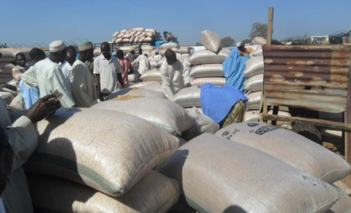 FAO: Nigeria’s cereal output increases ‘in spite of Boko Haram’
