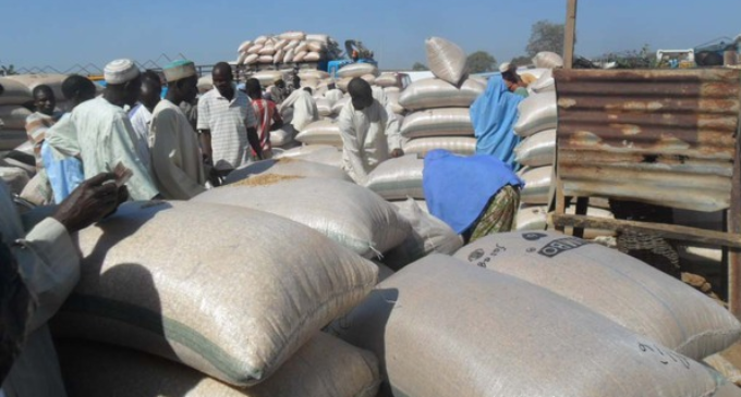 FAO: Nigeria’s cereal output increases ‘in spite of Boko Haram’