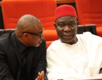 Manipulation has always been our problem in PDP, says Ekweremadu