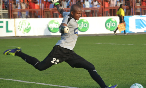 Ezenwa: CHAN an opportunity to impress Rohr ahead of World Cup