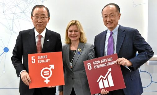 SDGs: UN set up first ever panel on women empowerment