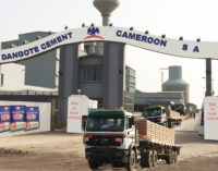 Dangote Cement to become only African coy in global top 20