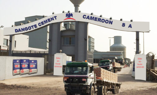 Dangote Cement to become only African coy in global top 20