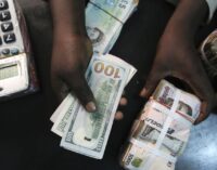 CBN to increase FX sales to us this week, says BDC president