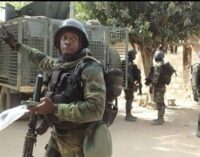 Troops ‘kill 19 insurgents, rescue 67’
