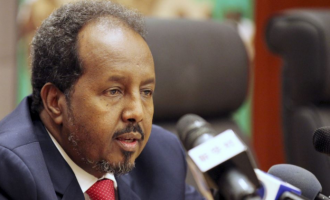 Boko Haram trained in my country, says Somalian president