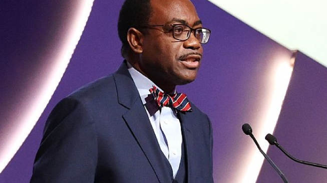 Adesina seeks abolishment of intra-Africa visa