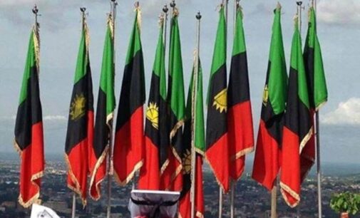 I love Nigeria, says publisher of ‘Biafra Times’ after arrest by police