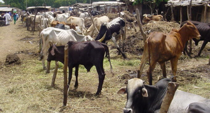 Defence minister: Anti-grazing law fueling crisis between farmers and herdsmen