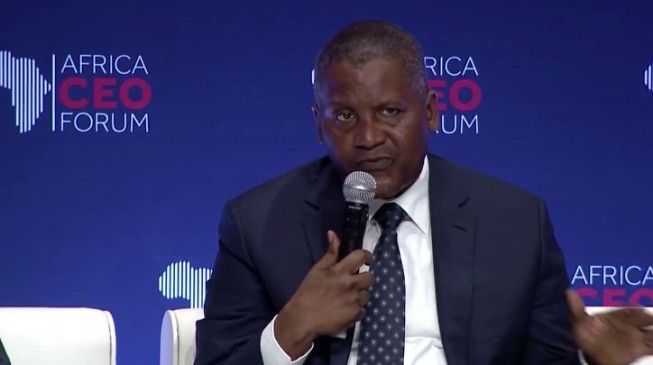 Dangote, Otudeko win big at Africa CEO awards