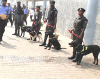 Police used N600m to procure dogs, says Arase