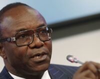 We resisted the word ‘cut’, says Kachikwu on Nigeria’s exemption from OPEC agreement