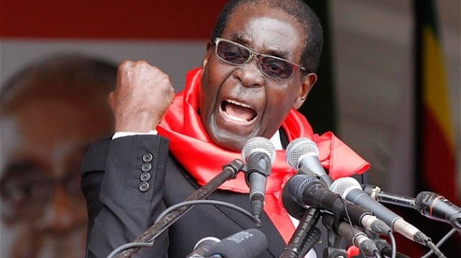 Mugabe threatens to punch journalist