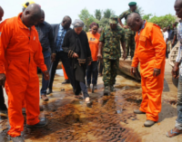 FG ‘must ensure full transparency’ in Ogoni clean-up exercise