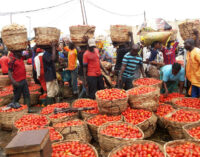 Naira scarcity: Lagos traders, buyers adopt cashless transactions