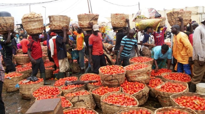 Erisco asks FG to release forex to end tomato scarcity