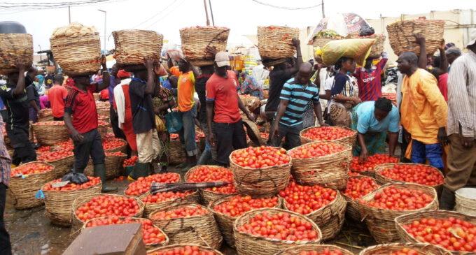 Erisco asks FG to release forex to end tomato scarcity