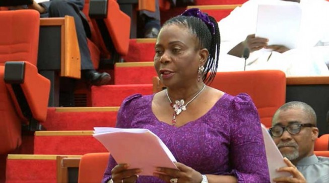 Protest as PDP senator ‘orders aide to slap’ national assembly worker