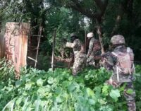 Troops ‘destroy’ Boko Haram’s spiritual base