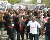 Benue killings: Miyetti Allah apologises to Ortom