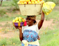 Sidelining women costs Africa $95bn per year, says UNDP