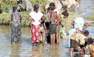 Water pollution threatens health of 320 million people, says UN