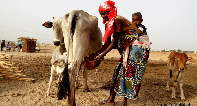Women education in northern Nigeria: Due for a new approach?