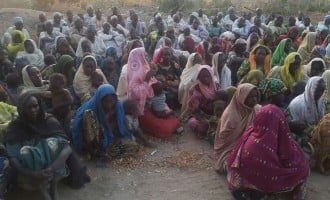 Defence minister: Over 4,000 persons freed from Boko Haram so far
