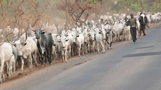 ’25 killed’ in fresh ‘herdsmen’ attack in Taraba