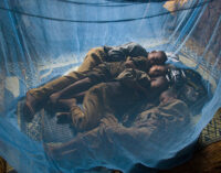 Federal, states ‘must step up efforts against malaria’