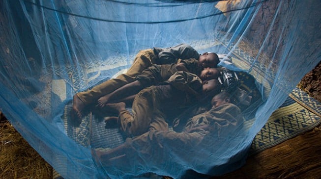 WHO issues wake-up call, says no progress in fight against malaria