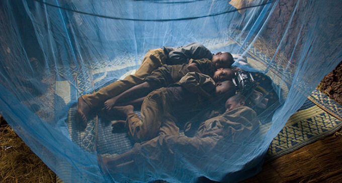 WHO issues wake-up call, says no progress in fight against malaria