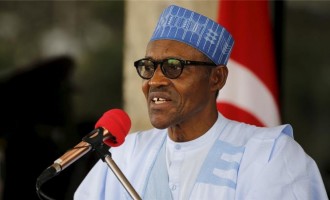 Balancing the war against corruption and economic growth