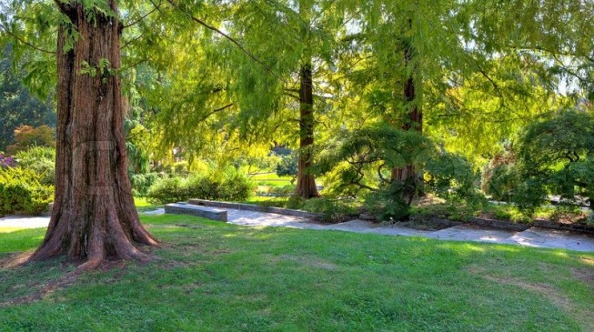Mother Earth Day: Six ways trees combat climate change