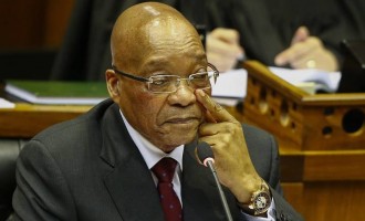 #PanamaPapers, Zuma and the DNA of corruption