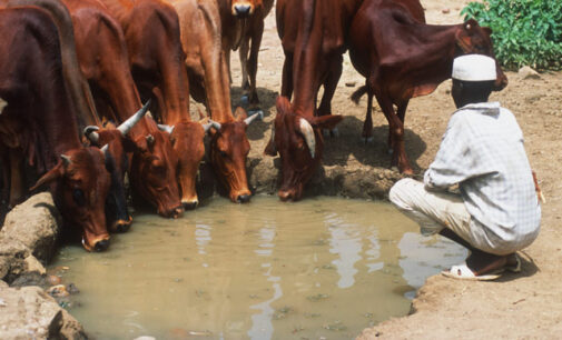 Taraba governor says anti-grazing law not targeted at anyone