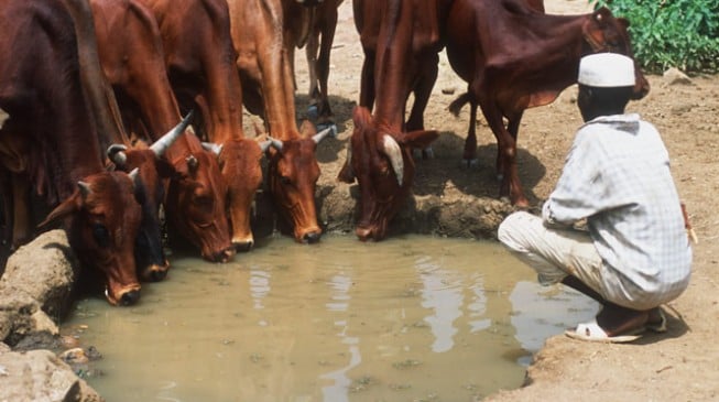 Lalong apologises over alleged opposition to Benue's grazing law Lalong apologises over alleged opposition to Benue's grazing law