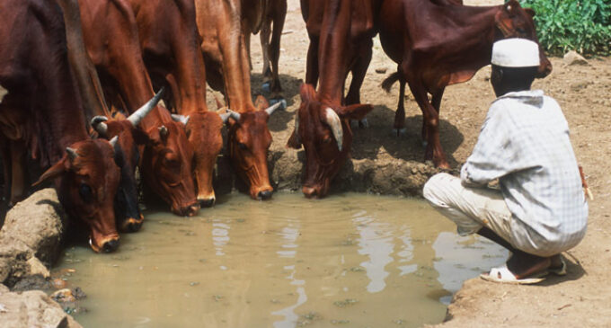Taraba governor says anti-grazing law not targeted at anyone