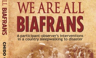 We should be only Nigerians