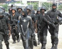 Buhari orders naval chief to crush militants