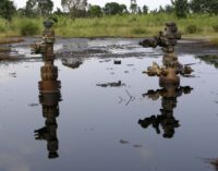 Buhari to launch Ogoni land clean-up June 2